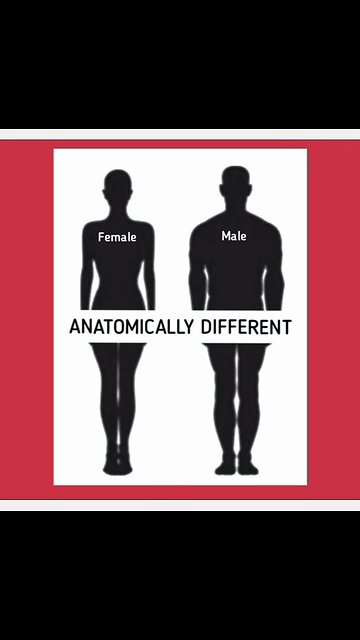 ANATOMICALLY DIFFERENT 😍😎