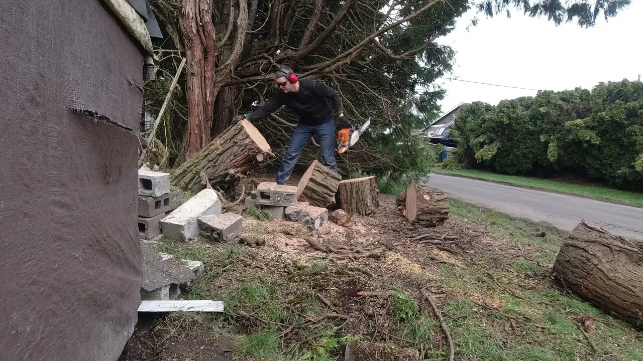 Ice Storm Cleanup With Bonus Soup