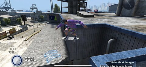 LITTLE BIT OF DANGER - SKATE 3