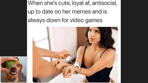 Memes That Will 99.831% Make You Laugh. (e56)