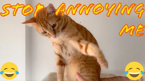 Stop Bothering Me