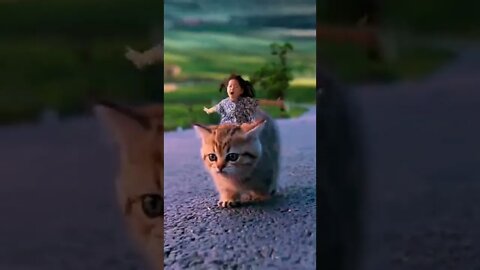 Amazing views video