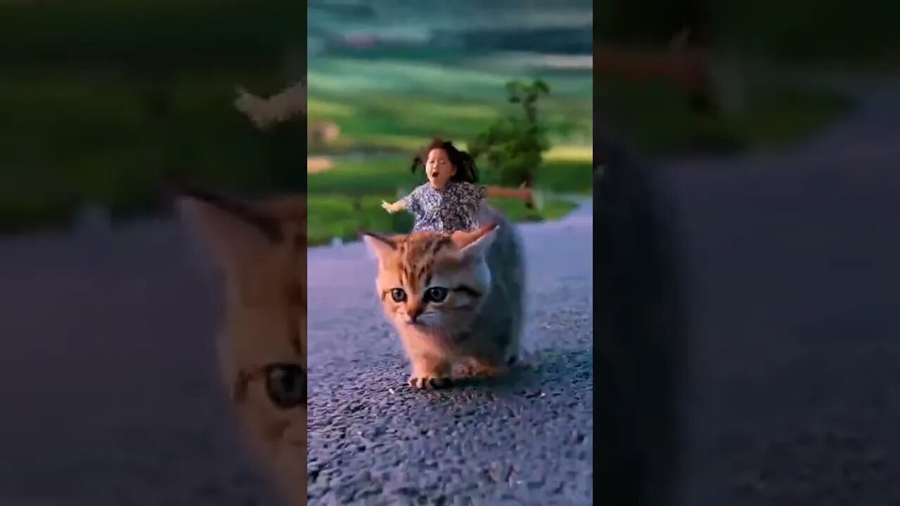 Amazing views video