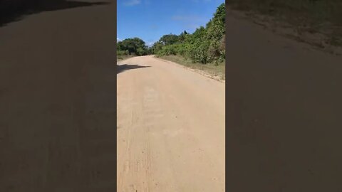 Bike de estrada na trilha, caminho para mangue seco #shorts 49