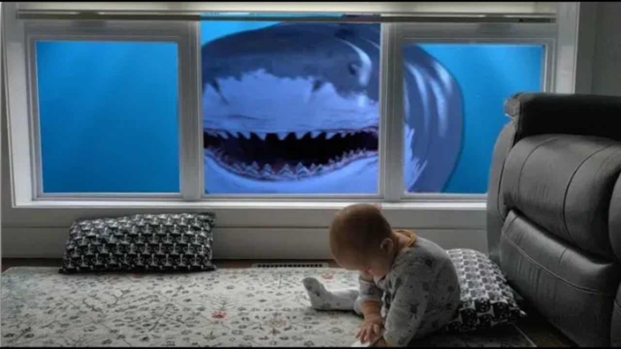 Remote control for your window: shark near the baby
