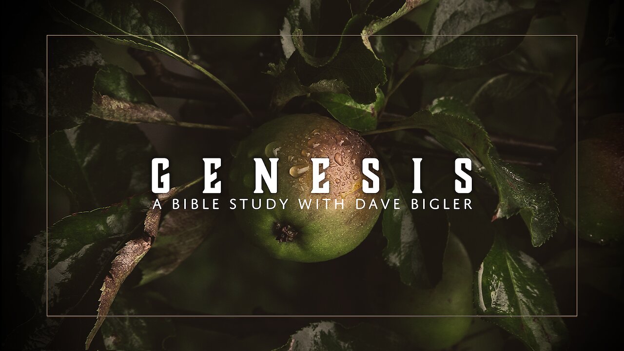 Genesis 32 & 33 Bible Study - Jacob wrestles with God and is reunited with Esau.