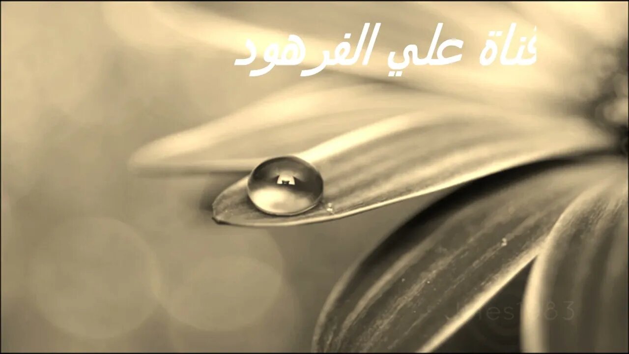 تلاوات خاشعة مبكية@قناة علي الفرهود