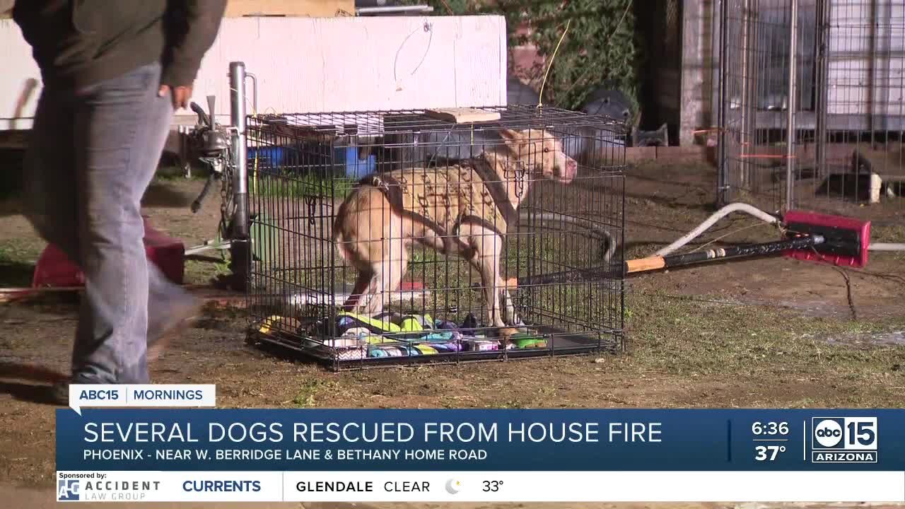 Animal rescue in need of help after overnight fire
