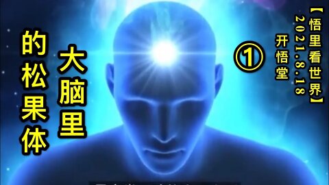 KWT2296(1)大脑里的松果体20210818-7【悟里看世界】