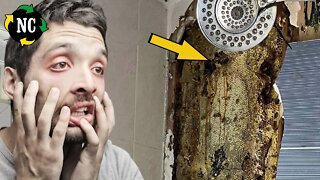 Homem ouve barulho estranho na ducha. Quando ele quebra a parede, encontra um feito inimaginável