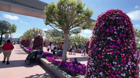 HQ replay Relaxing Day at EPCOT