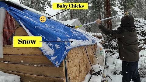Winter in April? The most SNOW since 1955?