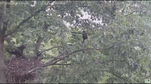 Hays Eagles H13 whoops Almost doesn't count ! 2021 06 09 12:05PM