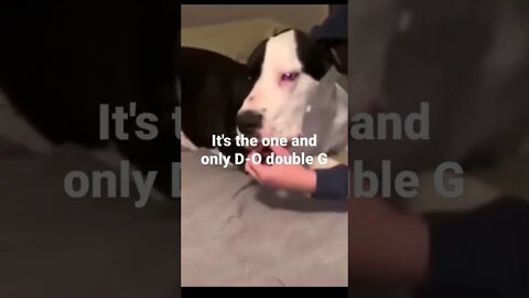 It's the one and only D-O double G #shorts