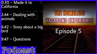 Woken up by boarder patrol! ~ the homeless vagabond experience ep. 5