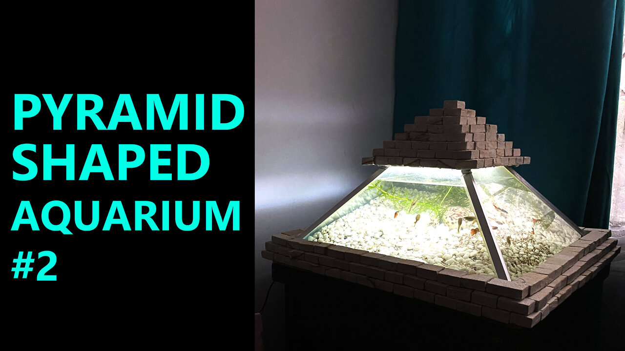 Pyramid Shaped Aquarium 2