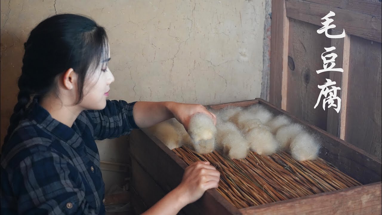 Have You Tasted These Dishes of Hairy Tofu?