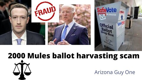 Will you watch 2000 Mules? You should