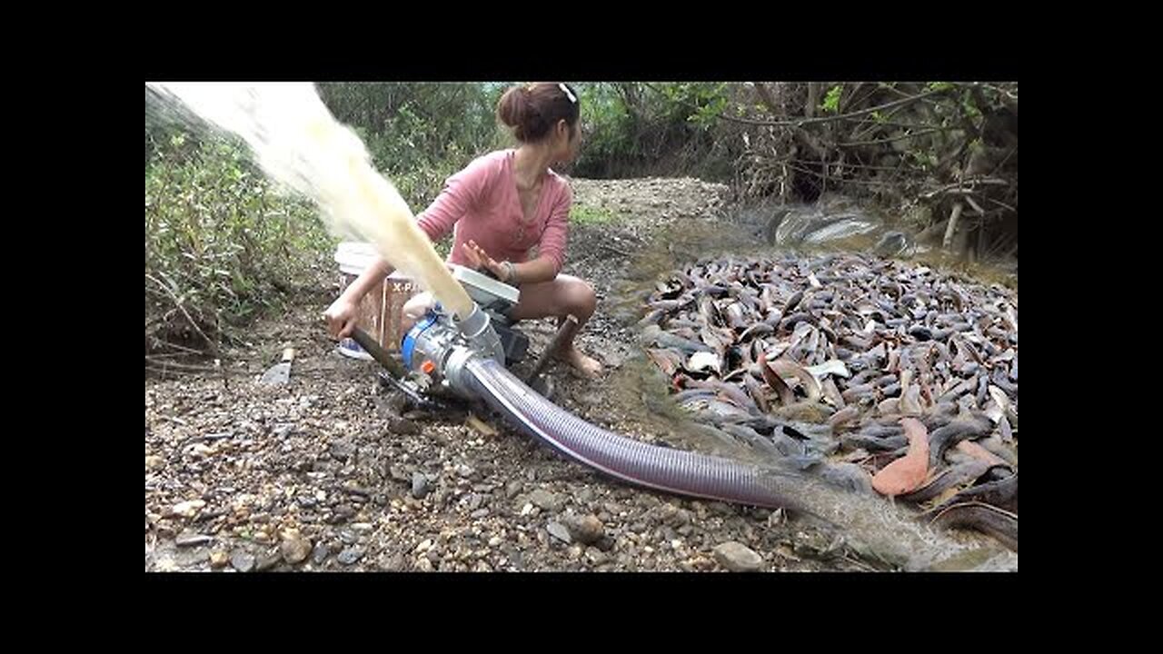 Catch fish | Using pumps, pumping water outside the natural lake, catching many big fish Ep03