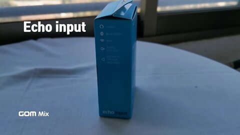 Echo Input