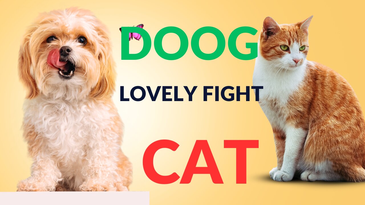 DOOG AND CAT FIGHT(2023)