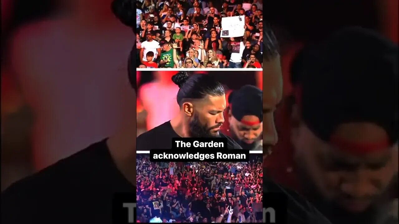 msg madison square garden acknowledge me roman reigns #romanreigns #msg