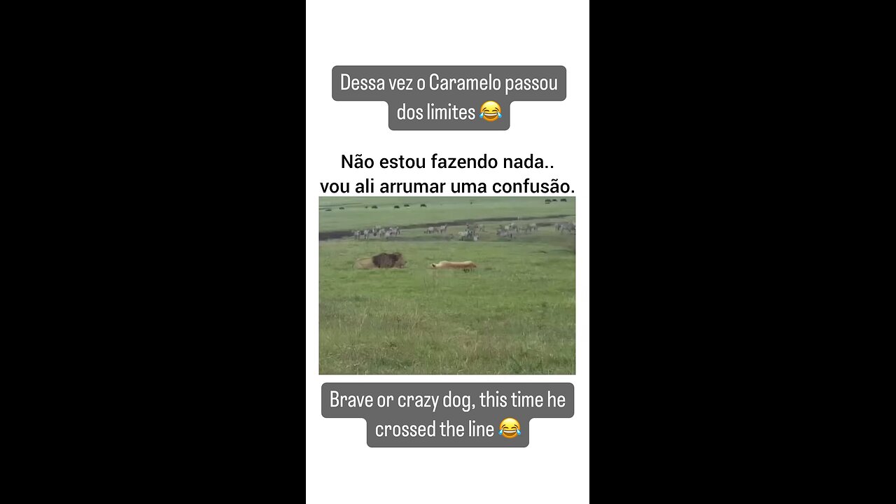 Dessa vez o caramelo passou dos limites