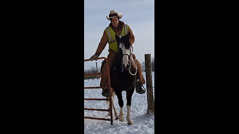 Rain - working gate - picking up rider - 15 Jan 2024
