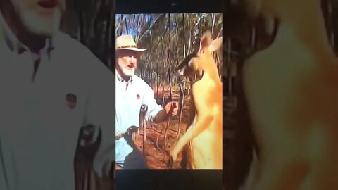 Dude, he’s going to tear you up