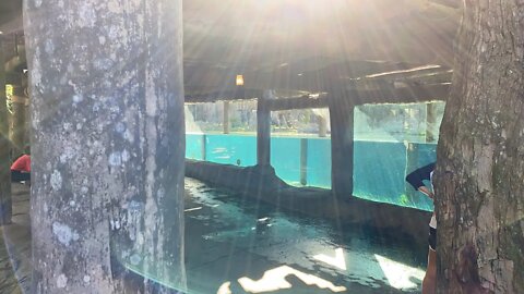 Busch Gardens Tampa