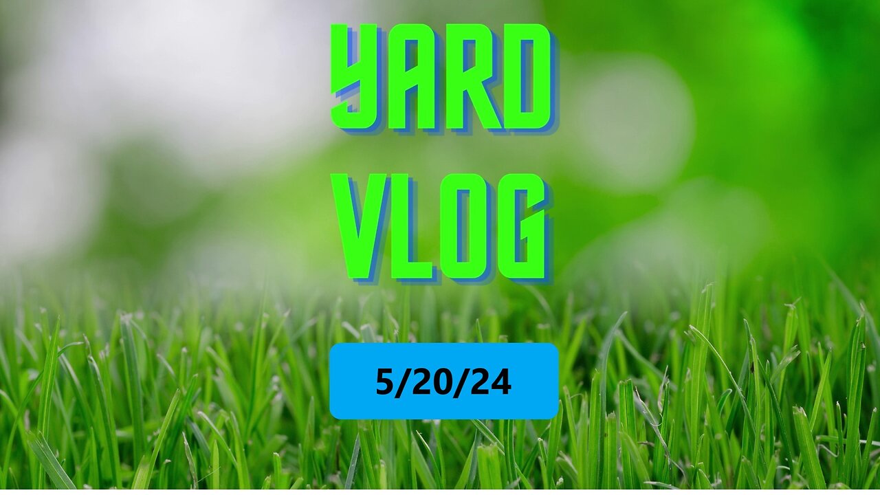 Yard Vlog 5/20/24