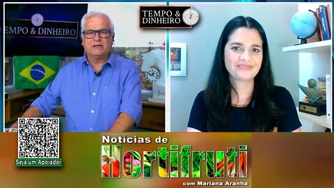 Preço da batata recua no atacado