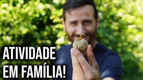 Bomba de sementes: Uma técnica INCRÍVEL para plantar!