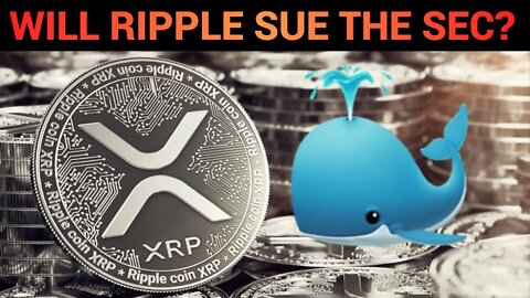 Will Ripple Sue The SEC For Damages