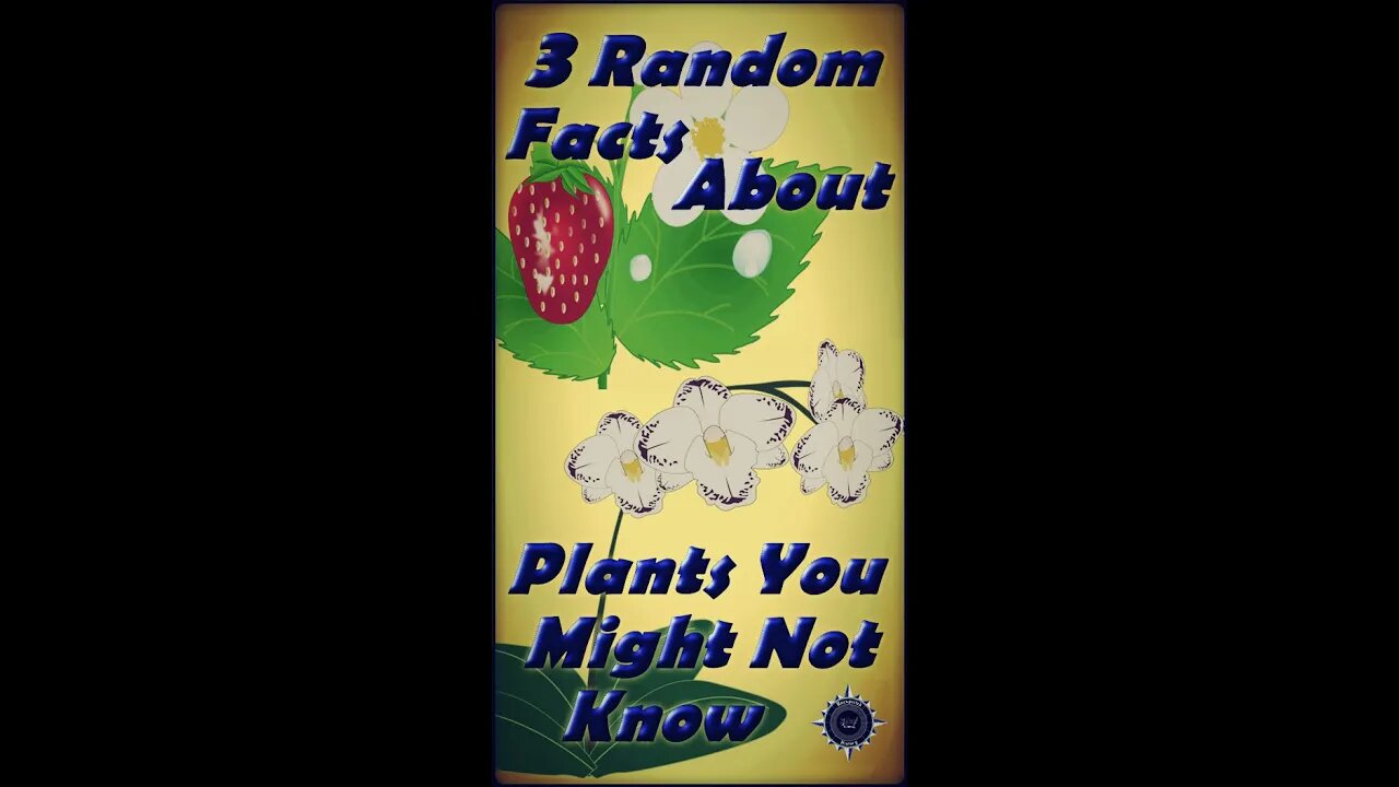 3 Random Facts About Plants You Might Not Know #Shorts