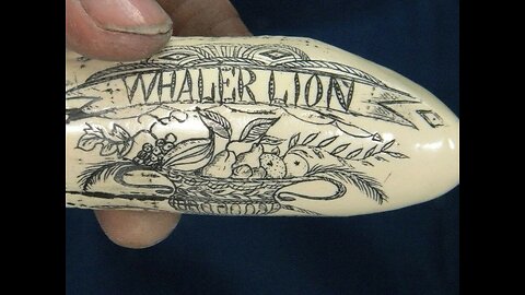 Sperm Whale Tooth Replica Scrimshaw 4 Inches Long "Whaler Lion"