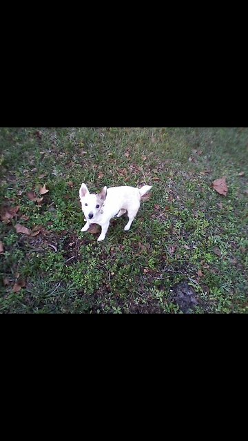 The fresh karma of Florida