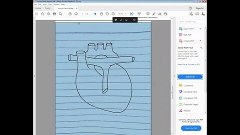 SCIENCE class 7 28 04 2021