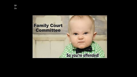 Family Court Committee