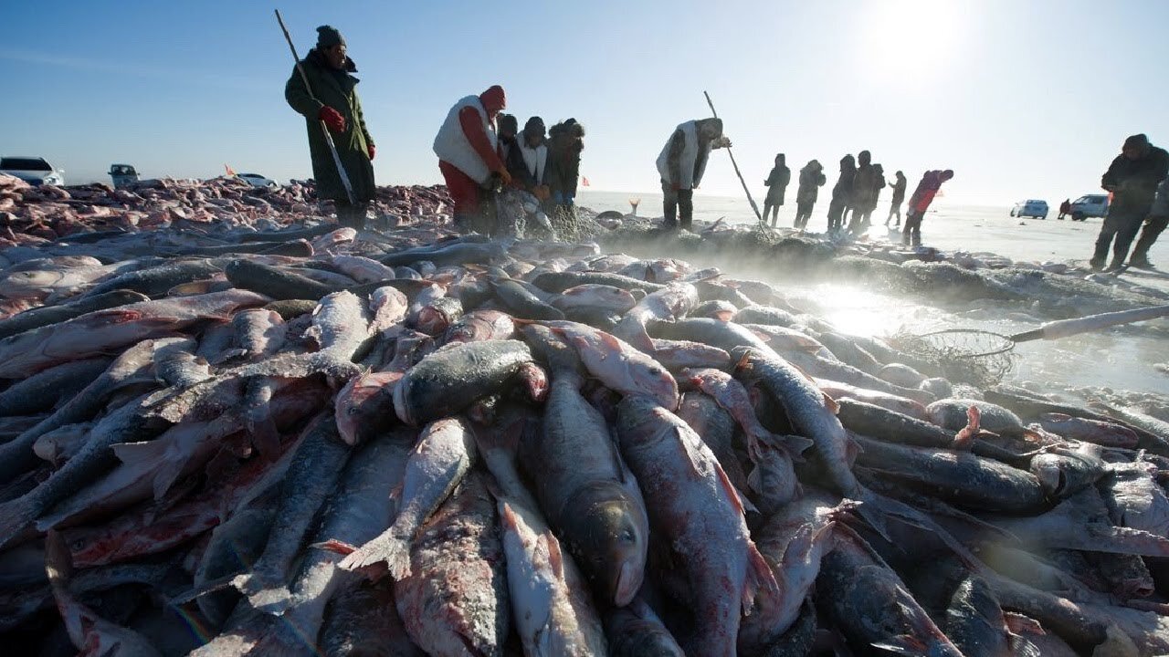 Amazing Ice Fishing - Fishing in Frozen Lake - Net Fishing skill in winter