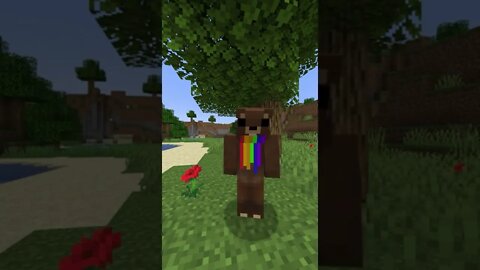 Minecraft #tiktok #Shorts