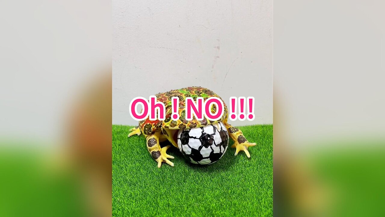 Oh ! NO !!! So Big ! Help me Plesae ! | Funny