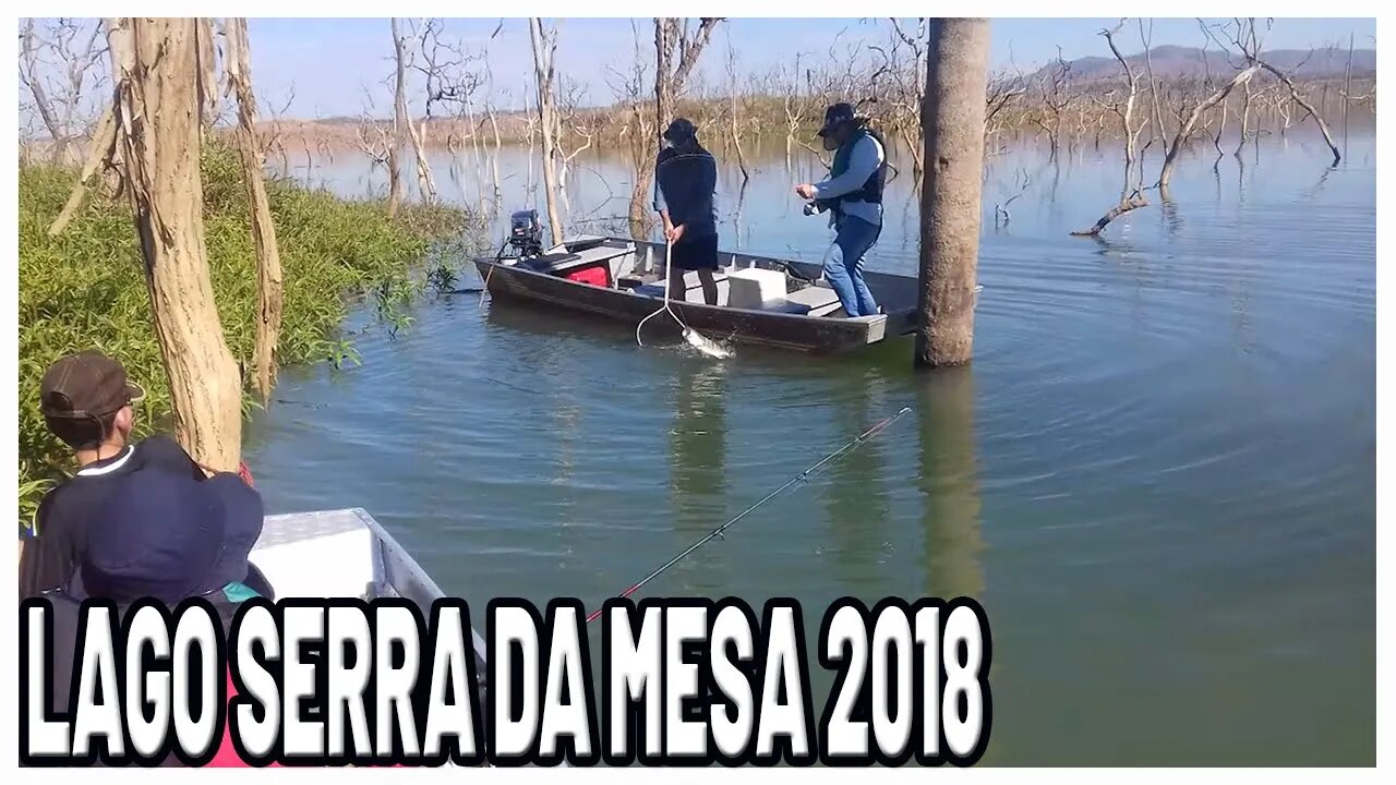 Pescada Lago Serra da Mesa 2018 - Sim eu sei pescar!!! #shorts