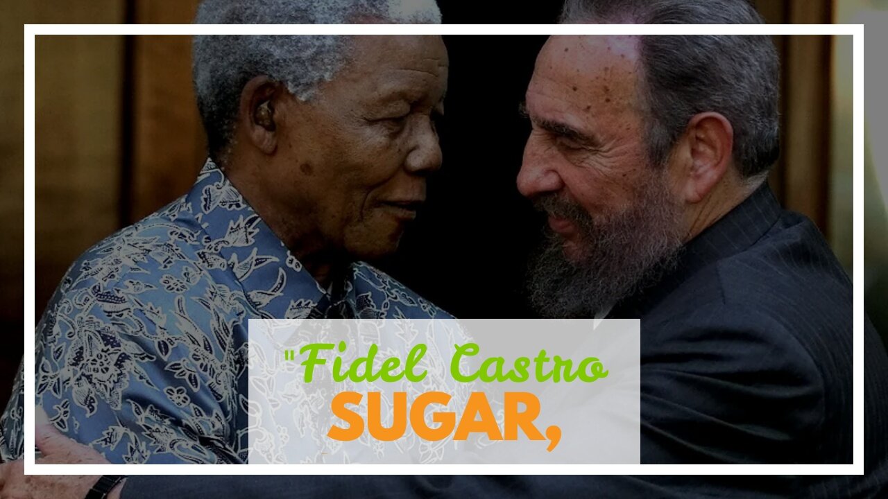 "Fidel Castro and his Impact on Cuban History" Fundamentals Explained