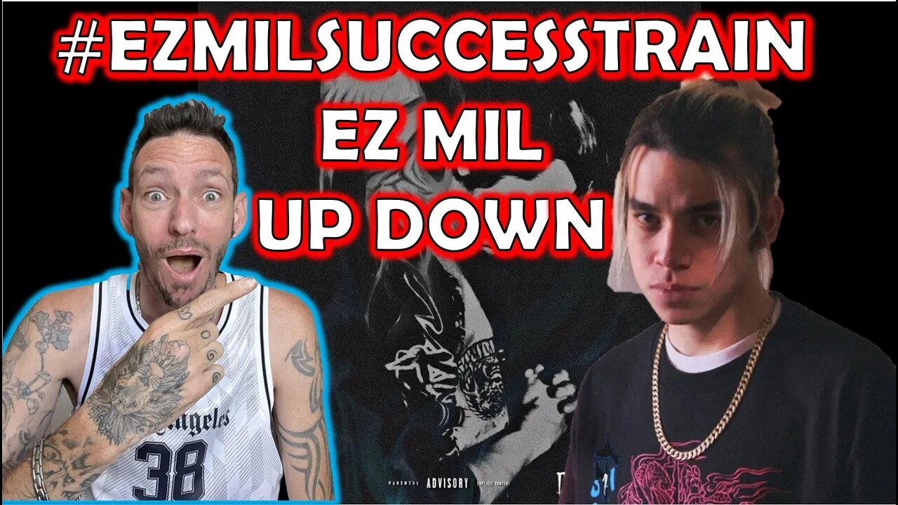 I SEE WHY YOU WANTED IT!!! EZ MIL Up Down (Step & Walk) REACTION