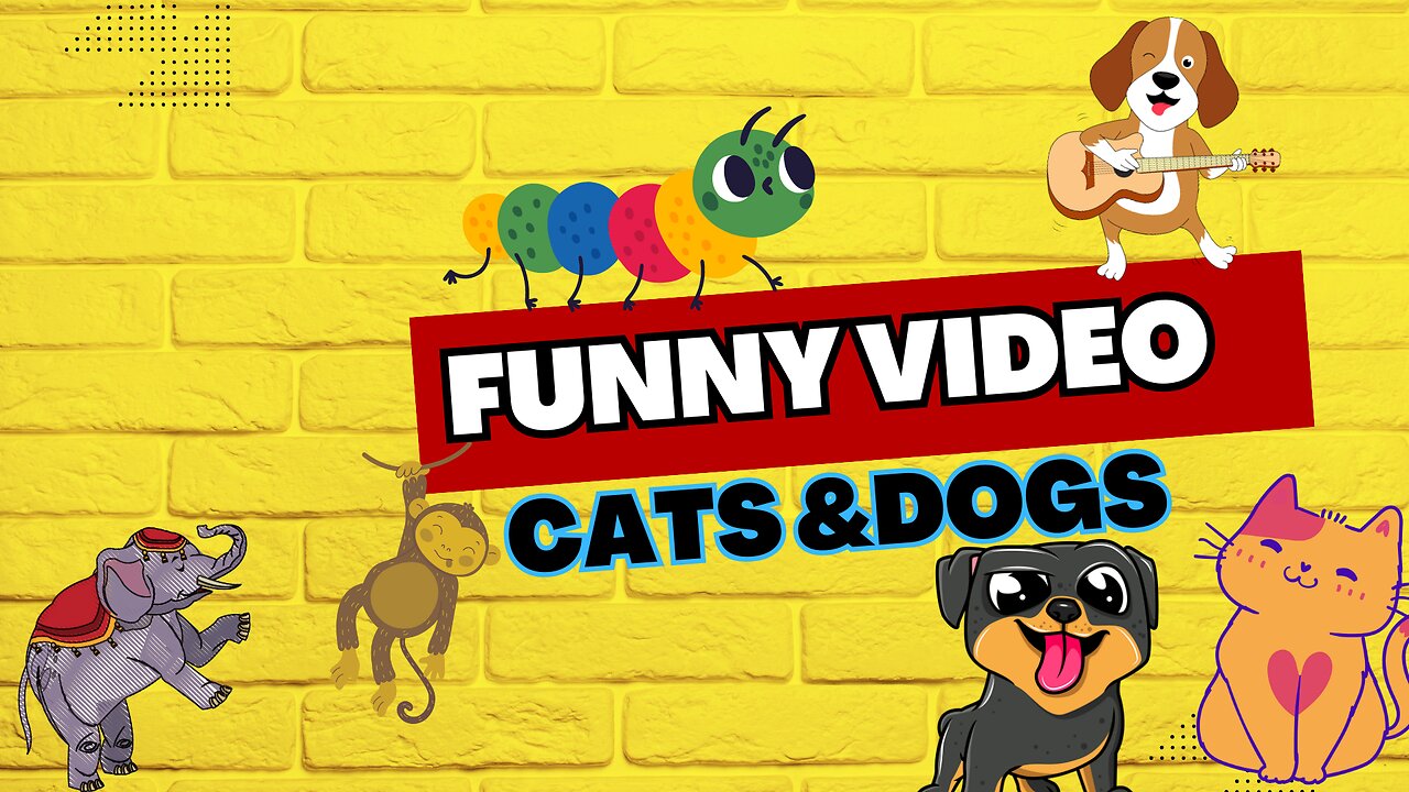 Best Funny Animals Video