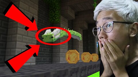 Green Axolotl Dragons?? - Secret of the Dungon ep1