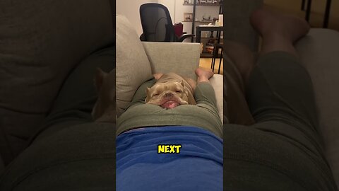 Glutton