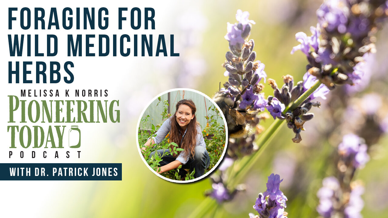 EP: 403 Foraging for Wild Medicinal Herbs with Dr. Patrick Jones