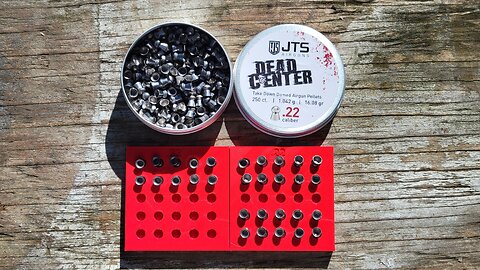 JTS Dead Center 16.08 Grain Pellet Test